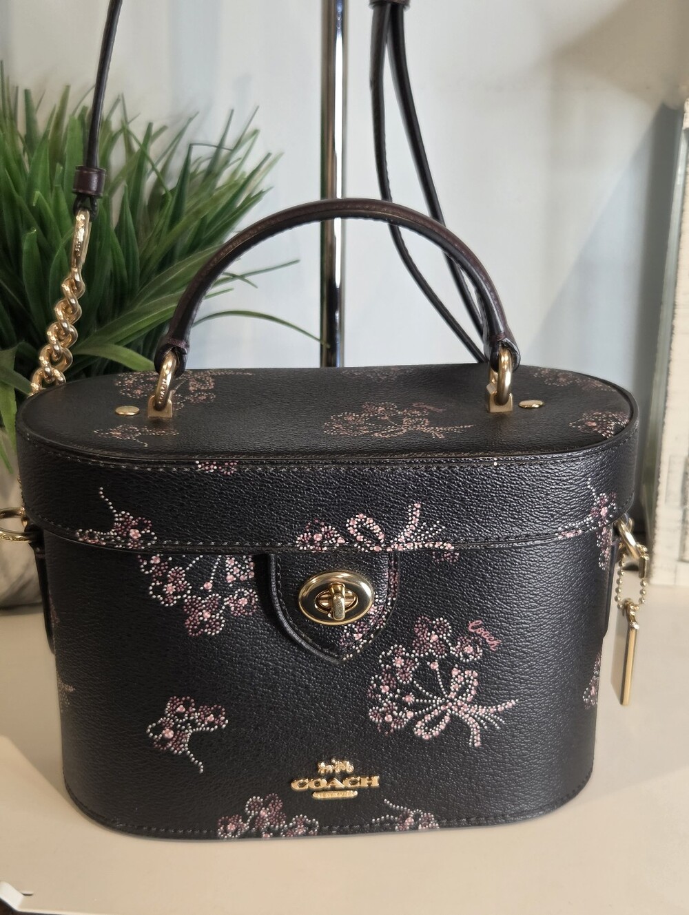 Coach Kay Crossbody with Ribbon Bouquet Print (Style F76713)